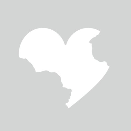 Crafter's Companion 3D Emboss Macro Aperture Folders Radiant Rose (CC-3DEF5.5-MD-STEN-RARO)