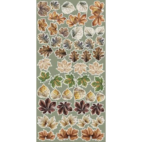 Craft O'Clock Creative Extras Set Mix 04 All Leaves (CC-CEX-MIX-04) - Postage as per Actual