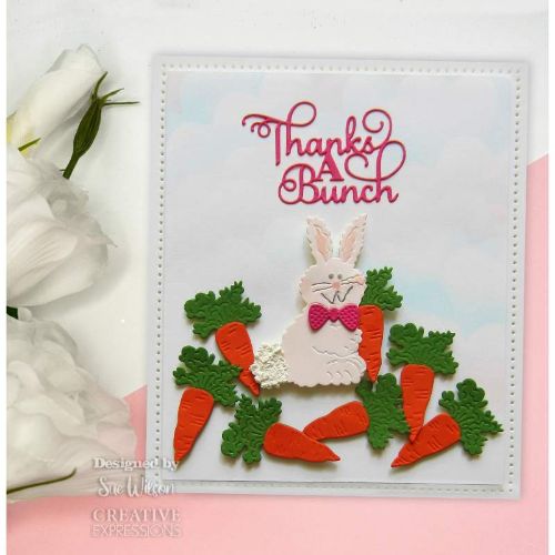 Creative Expressions Sue Wilson mini ExpressionsThanks A Bunch Craft Die