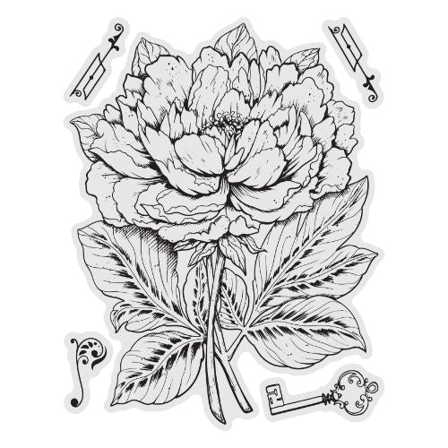 Couture Creations - Peony Stamp and Colour Set (5pc)
