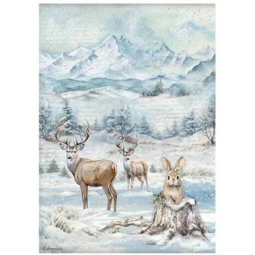 Stamperia The Owl's House A4 Rice Paper Selection (6pcs) (DFSA4XOH)