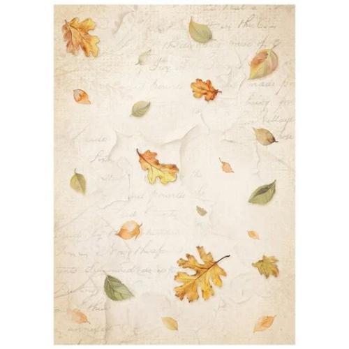 Stamperia Whispering Woods A6 Rice Paper Backgrounds (8pcs) (DFSAK6045)