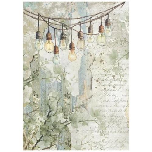 Stamperia Herbarium Silvae A6 Rice Paper Backgrounds (8pcs) (DFSAK6048)