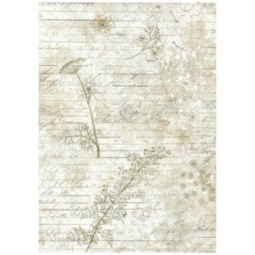 Stamperia Herbarium Silvae A6 Rice Paper Backgrounds (8pcs) (DFSAK6048)
