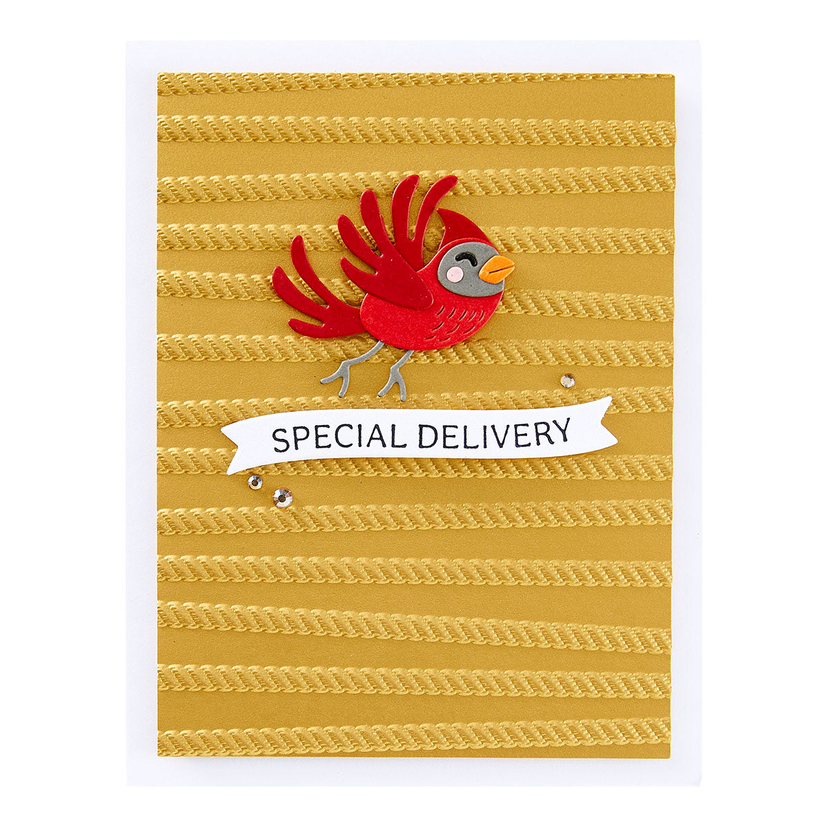 Spellbinders - All Wrapped Up 3D Embossing Folder from the Dancin' Christmas Friends Collection