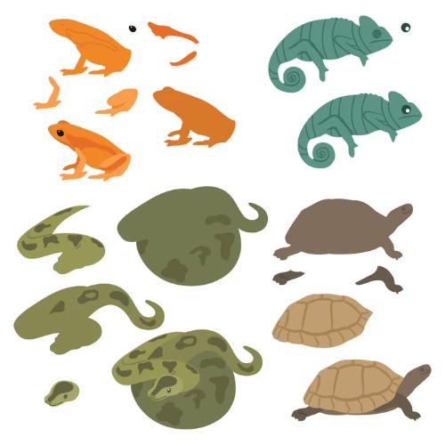 Honey Bee Stamps - Lovely Layers: Curious Critters - Honey Cuts