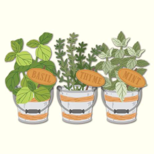 Honey Bee Stamps - Lovely Layers: Herb Garden - Honey Cuts