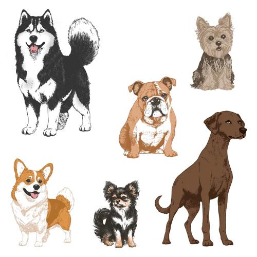 Honey Bee Stamps - Tail Waggers - 5"x6" Rubber Cling Stamp