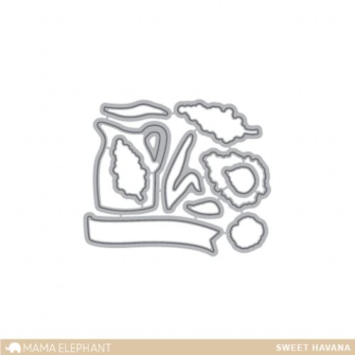 Mama Elephant Sweet Havana Dies