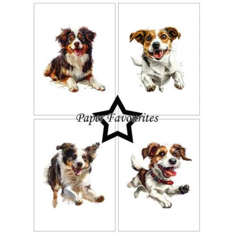 Paper Favourites - A6 Paper Pack Farmdogs (PFA567)