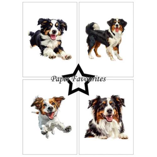 Paper Favourites - A6 Paper Pack Farmdogs (PFA567)