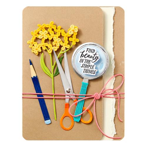 Spellbinders - Field Notes Twine Etched Dies from the Field Notes Collection