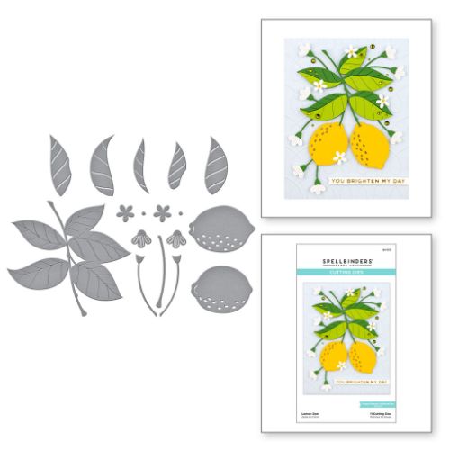 Spellbinders - Lemon Zest Etched Dies