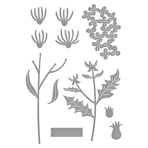 Spellbinders - Field Notes Wildflowers Etched Dies from the Field Notes Collection