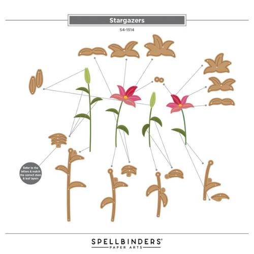Spellbinders - Stargazers Dies