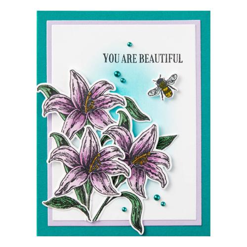 Spellbinders - Beautiful Blooms Stamp and Die Bundle by Simon Hurley - Postage as per Actual