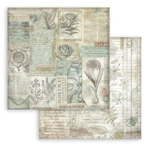 Stamperia Herbarium Silvae 12x12 Inch Paper Pack Maxi Background Selection (SBBL180) - Postage as per Actual