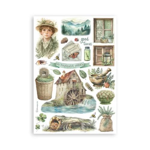 Stamperia Herbarium Silvae A5 Washi Pad (8pcs) (SBW27)