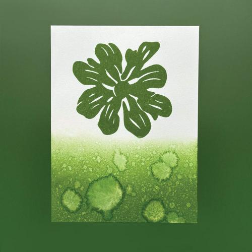 Simon Hurley create. Stellar Ink Pads Fore!