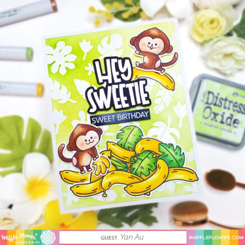 Waffle Flower - Fruity Combo