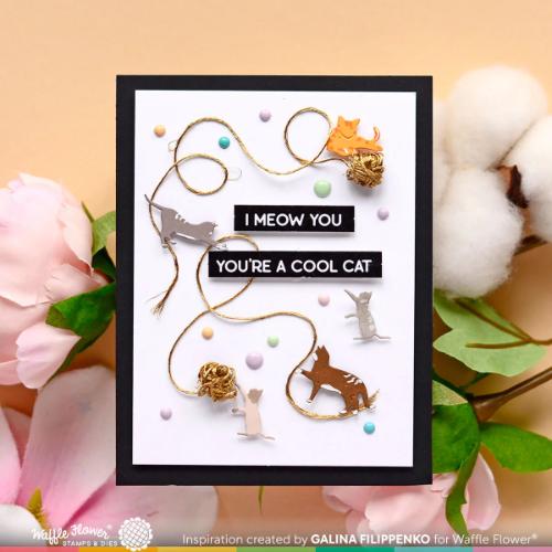 Waffle Flower - Cattitude Combo