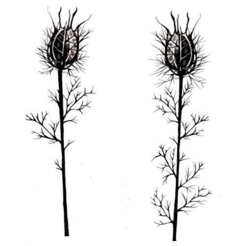 Lavinia Stamps - Nigella Damascena