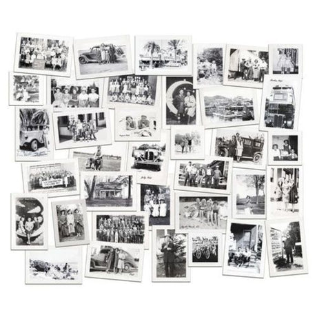 Idea-ology Tim Holtz Snapshots Volume 2