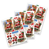 Katy Sue Designs Santa's Story 3D Die-Cut Decoupage (3pcs) (11-DCD734)