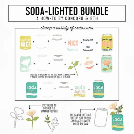 Concord & 9th - Soda-Lighted Bundle