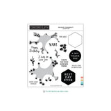 Concord & 9th - Bouquet Turnaboutª Stamp Set (6 x 6) & Dies Bundle
