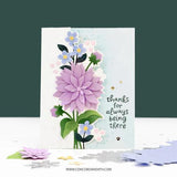 Concord & 9th - Handpicked Stamp Set (3 x 4) & Dies Bundle - Postage as per Actual