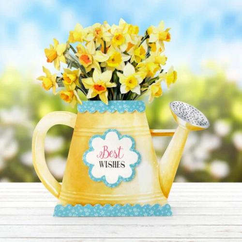Katy Sue Designs Watering Can Blossoms and Blooms Card Making Kit (17-10081WCF)