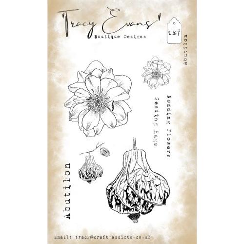 Tracy Evans - Abutilon (A6 Stamp) (TE007)