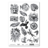 3Quarter Designs Acetate - Tropic