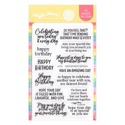 Waffle Flower - Inside Sentiments Birthday 2 Stamp Set