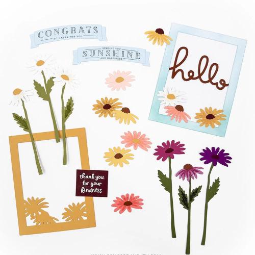 Concord & 9th - Daisy Delight Stamp Set (4 x 4) & Dies Bundle