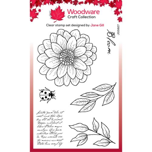 Woodware Clear Singles Ditsy Daisy 4 in x 6 in Stamp