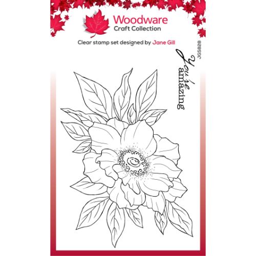 Woodware Clear Singles Anemone 4 in x 6 in Stamp