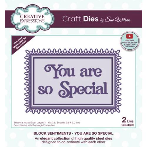 Creative Expressions - Sue Wilson Craft Die Block Sentiments You Are So Special (CED4469)