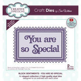 Creative Expressions - Sue Wilson Craft Die Block Sentiments You Are So Special (CED4469)
