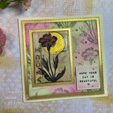 Creative Expressions Sam Poole Bloom 4 in x 6 in Clear Stamp Set