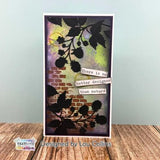 TEXT(ures) Beneath the Brambles Craft Die Set Document & Discover Vol.II (TEXCD0002)