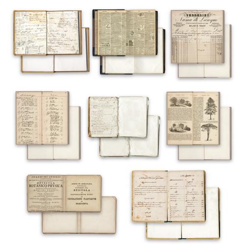 Arden Creative Studio Vintage Makers Bookmakers Ephemera Pack by Katie Pertiet (ACSEP0013)