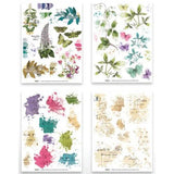 Arden Creative Studio Garden Chronicles 6x8 Inch Rub-On Transfer Set by Katie Pertiet (ACSRO0009)