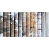 Craft Consortium Double-Sided Paper Pad 12"X12" 30/Pkg Frosted Wood - Postage as per Actual