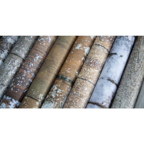 Craft Consortium Double-Sided Paper Pad 6"X6" 40/Pkg Frosted Wood