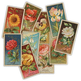 Craft Consortium The Collector Ephemera Flowers (30pcs) (CEEPH003)
