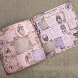 IndigoBlu The Anatomist's Cabinet 8x8 Inch Paper Book (IND1584)