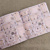 IndigoBlu The Anatomist's Cabinet 8x8 Inch Paper Book (IND1584)