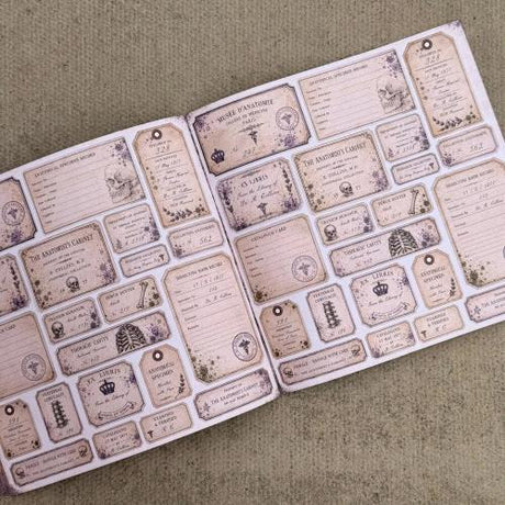 IndigoBlu The Anatomist's Cabinet 8x8 Inch Paper Book (IND1584)